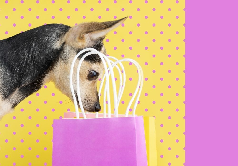 The Pet Licensing Surge: How Popular Brands are Powering Pet Products