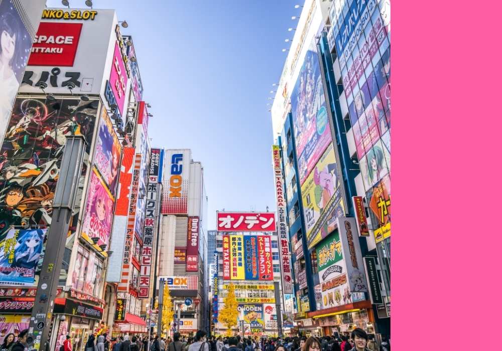 What We Can Learn from Japanese IP Licensing