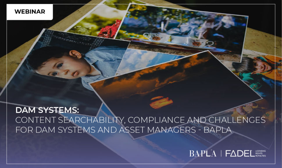 Join FADEL at the BAPLA Industry Webinar on DAM Systems