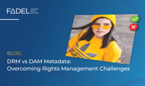 DRM vs DAM Metadata: Overcoming Rights Management Challenges